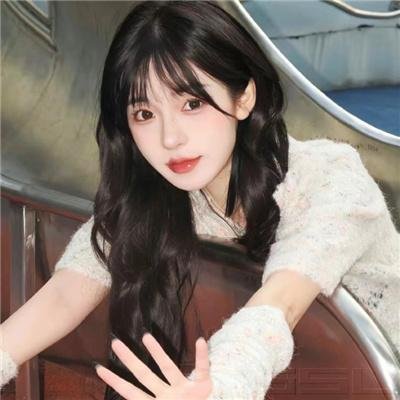 掟上今日子的备忘录